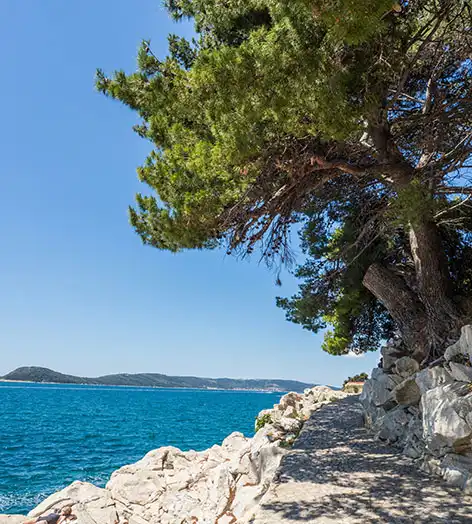Mustel Travel - Travel agency for accommodation and tours in Pakoštane