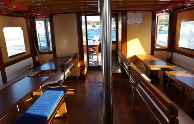 Boat excursion and dolphin watching tour – Departure from Pakoštane