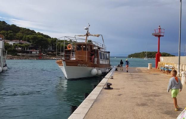 Boat excursion and dolphin watching tour – Departure from Pakoštane