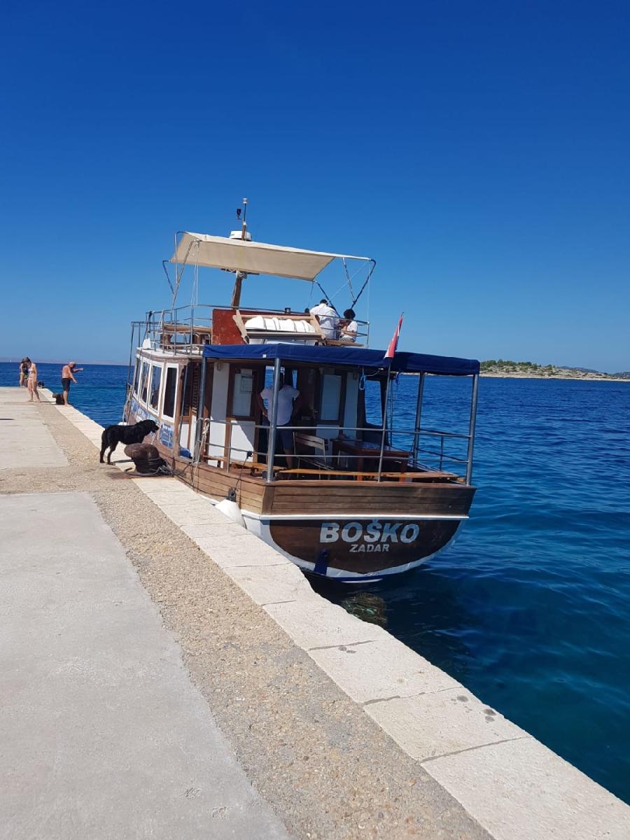 Boat excursion and dolphin watching tour – Departure from Pakoštane