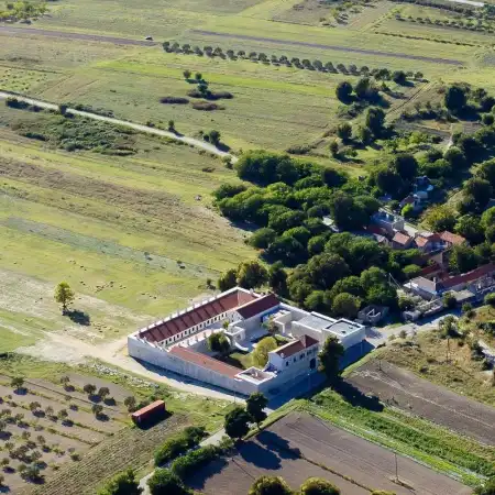 Vrana