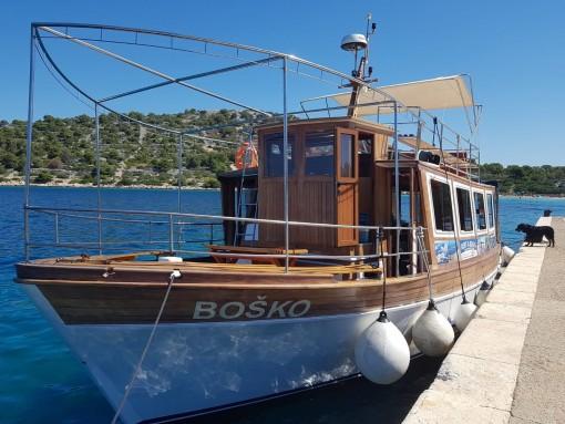 Dolphin watching & half-day escape to Vrgada