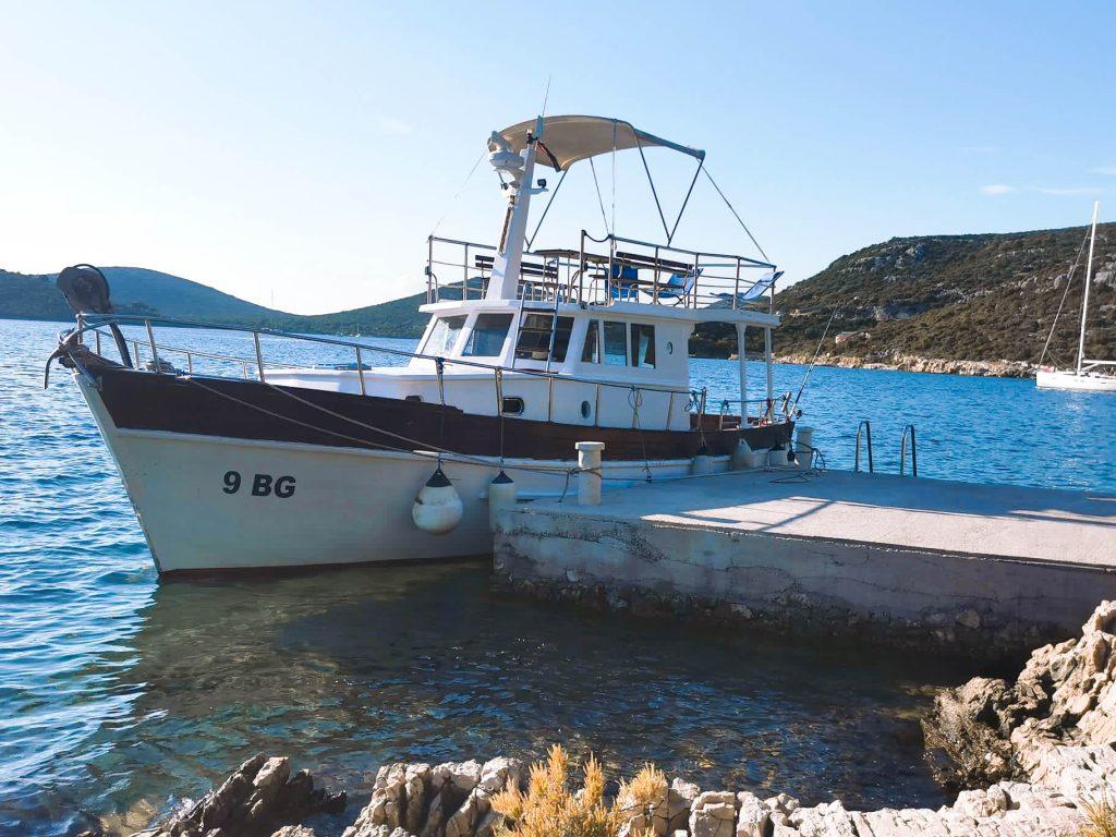Dolphin watching & half-day escape to Vrgada