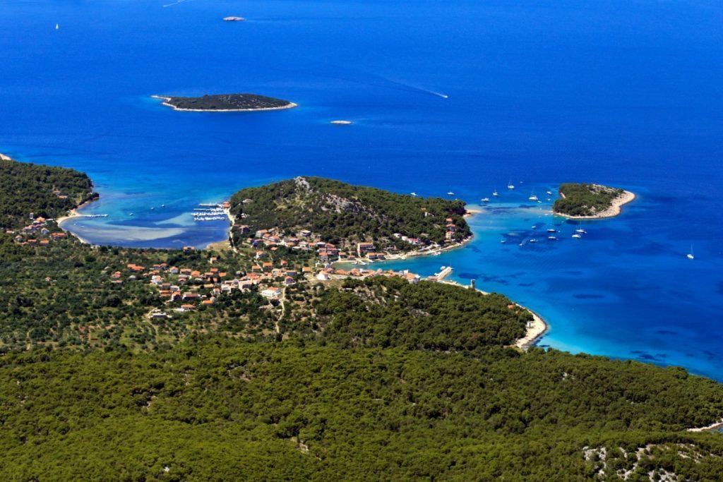 Dolphin watching & half-day escape to Vrgada