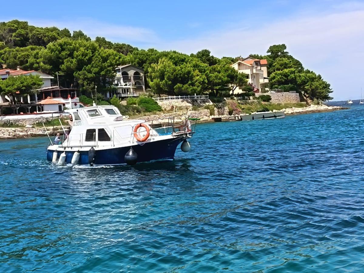 Izlet brodom i potraga za dupinima